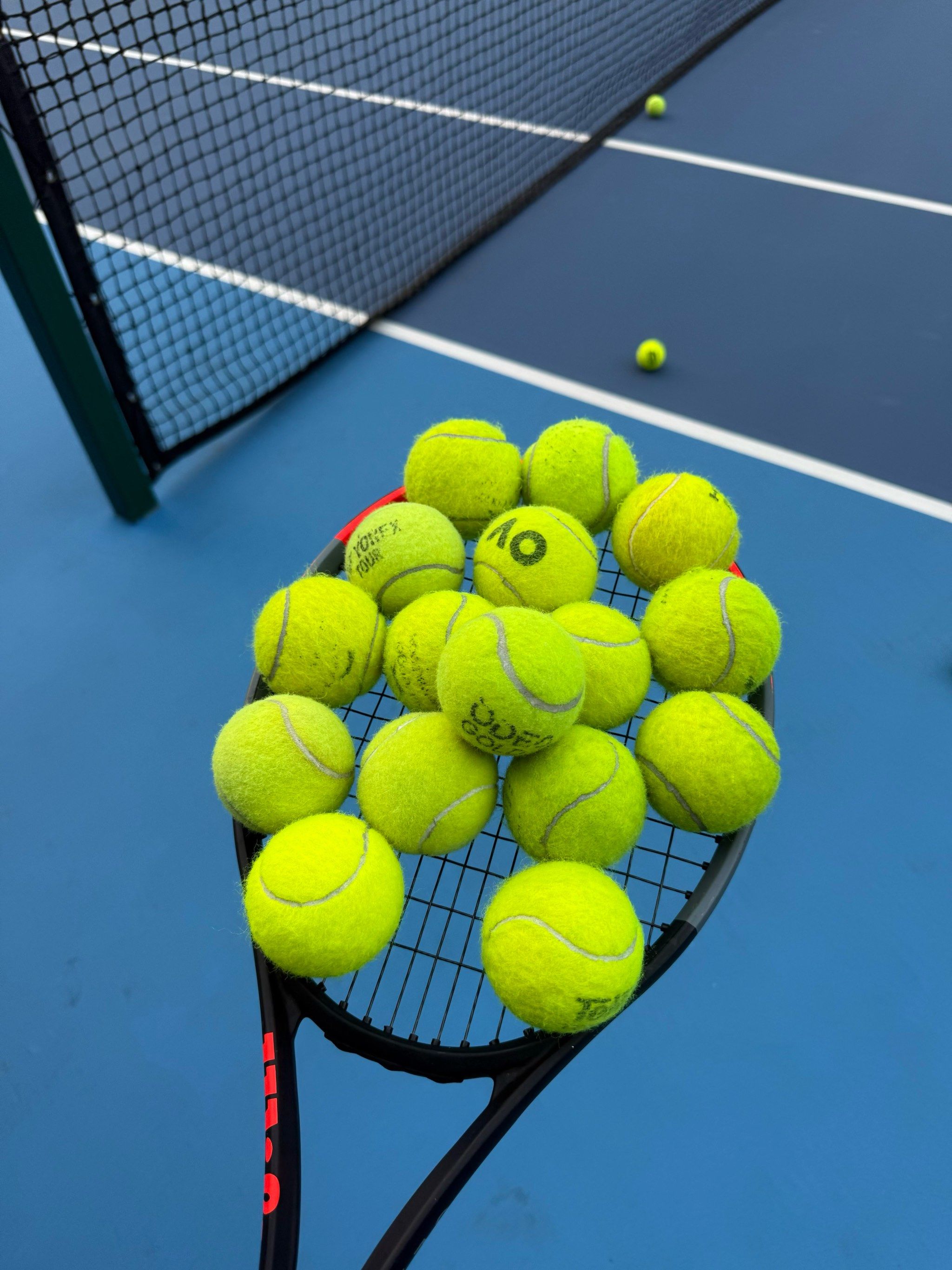 少数不同意 少数不同意